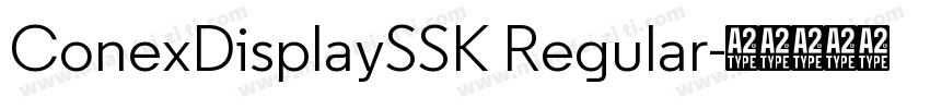 ConexDisplaySSK Regular字体转换